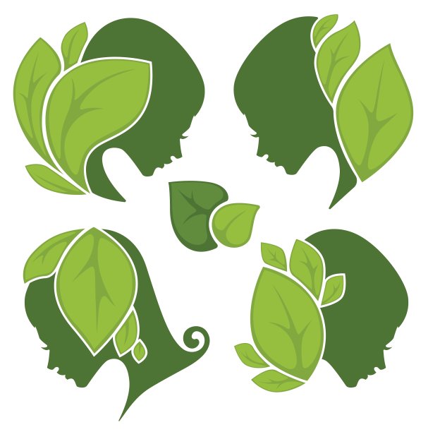 叶和美丽图片下载