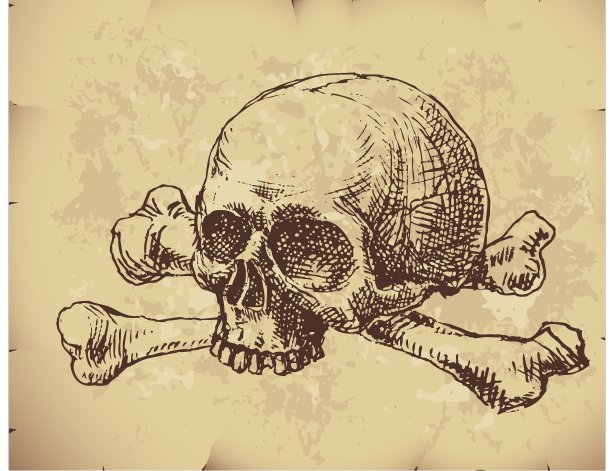手绘的头骨图片下载