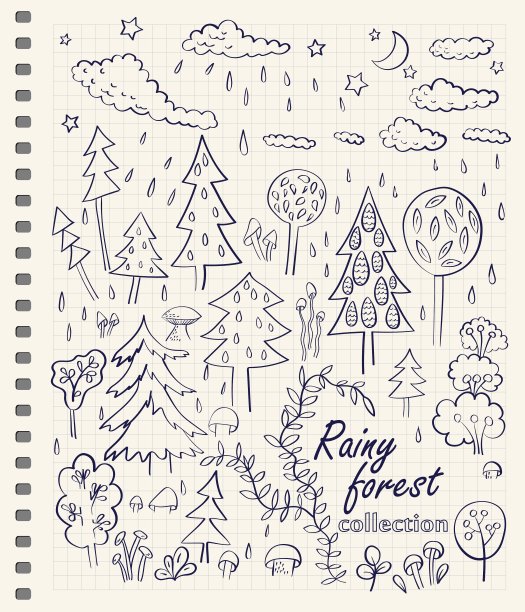 多雨的森林图片下载