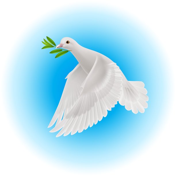 和平的鸽子图片下载