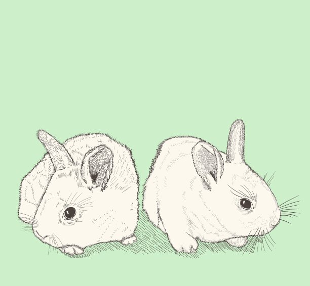 兔子画图片下载
