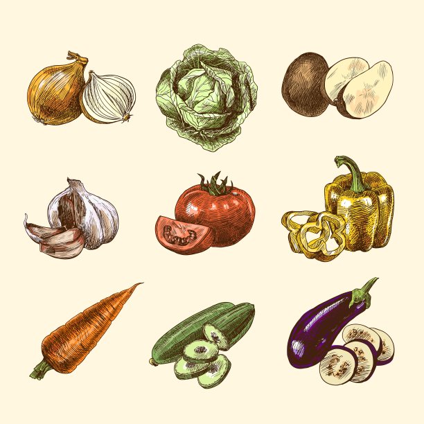 彩色蔬菜素描图片下载