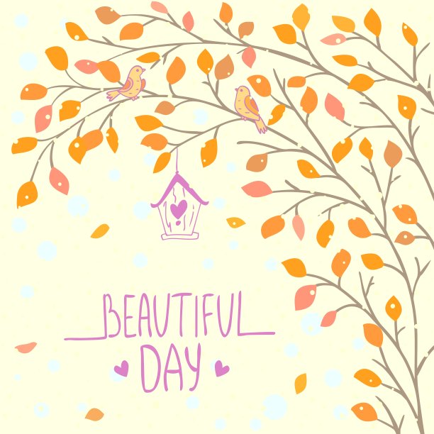 美丽的分支图片下载