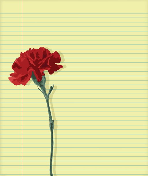 康乃馨在纸上图片下载
