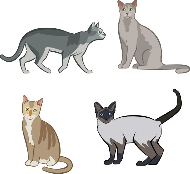 一套可爱的卡通小猫或猫图片下载