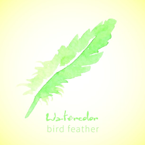 无缝图案与涂鸦羽毛图片下载