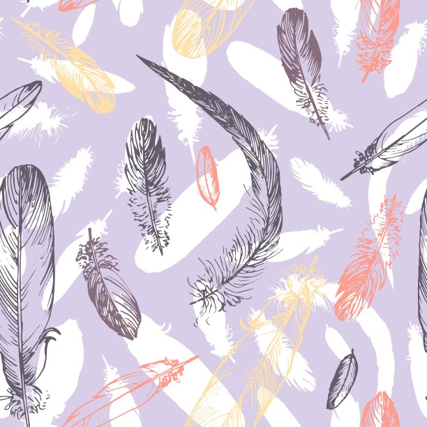 有羽毛的无缝图案图片下载