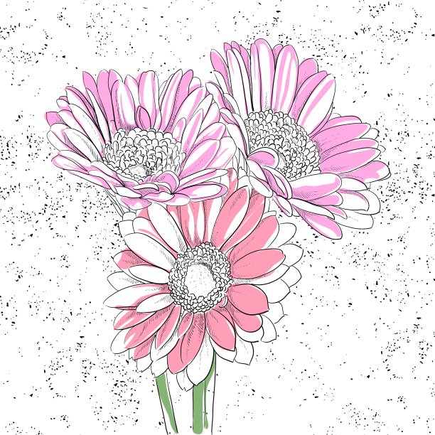 花的背景图片下载