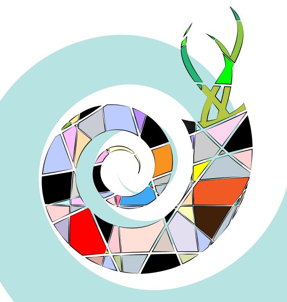 抽象的彩色外壳图片下载