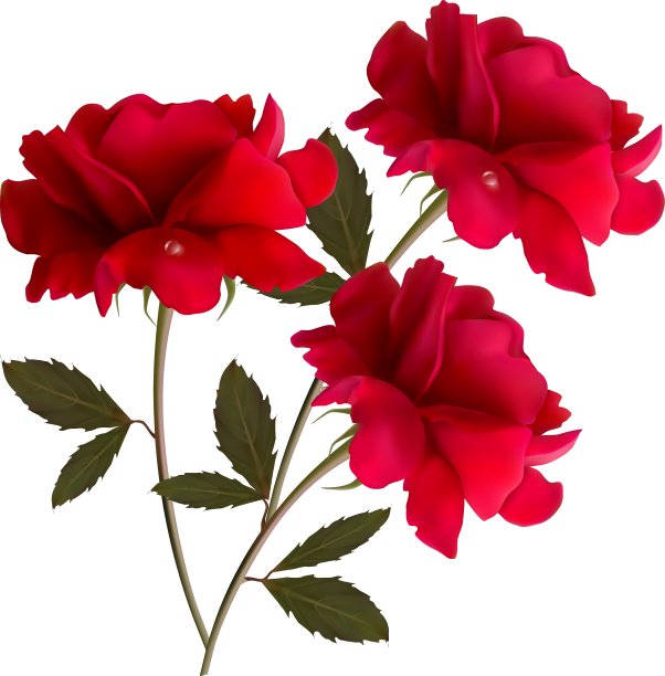 假日背景红三朵玫瑰图片下载