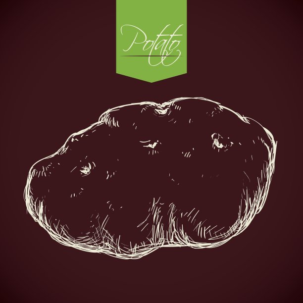 食品设计图片下载