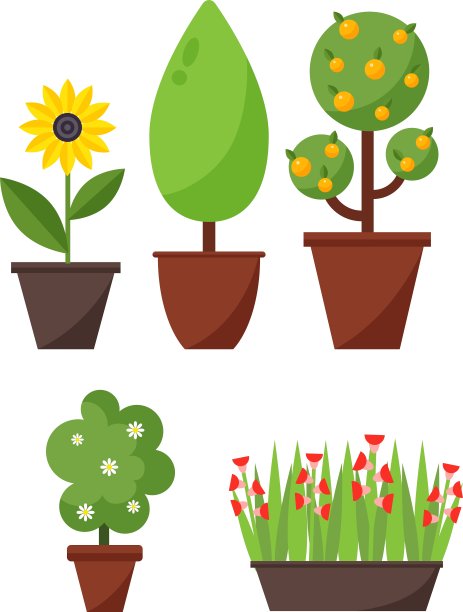 家居植物和树木图片下载