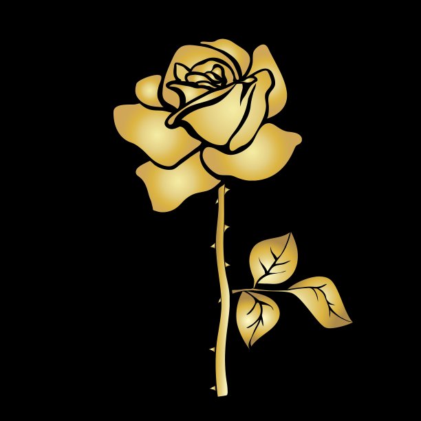 玫瑰草图图片下载