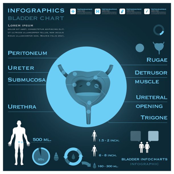 信息图表健康和医疗图片下载