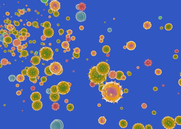 各种花，植物，树和灌木花粉的3d插图。图片下载