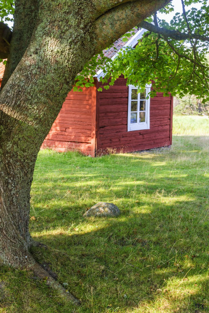 花园里的红色小木屋图片下载