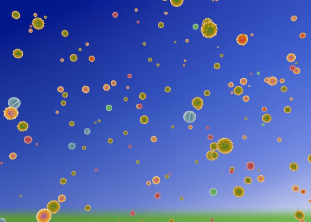 各种花，植物，树和灌木花粉的3d插图。图片下载