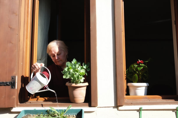 奶奶在窗台上浇花图片下载