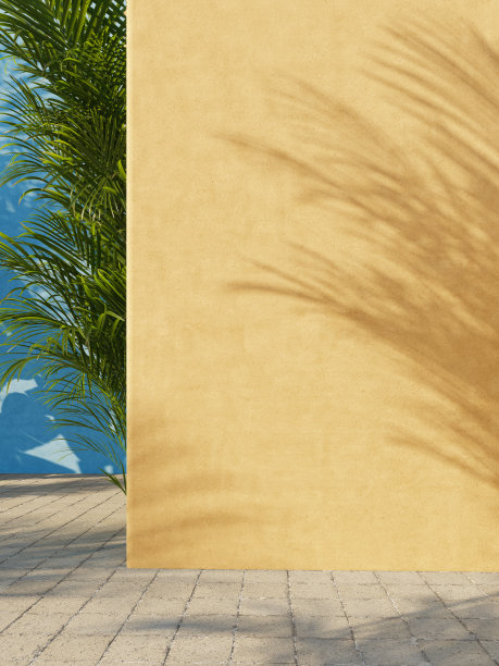 明亮的黄色和蓝色的墙壁与绿色的热带树叶，阳光和阴影。夏天,春天的背景。3 d渲染。图片下载