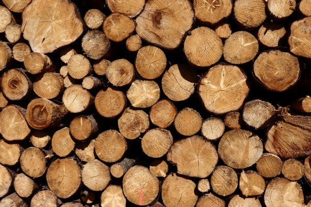 木头的背景图片下载