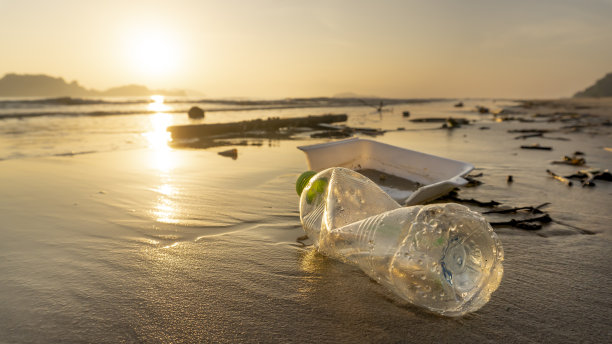 海滩上的垃圾，如塑料瓶、泡沫盒、食物和树枝。图片下载