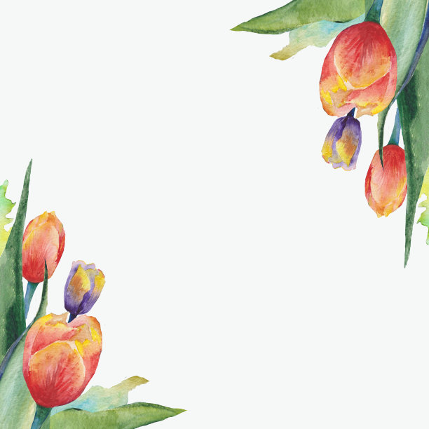 图片用于贺卡、纸张、请柬。添加你的文本。色彩鲜艳的郁金香。手绘水彩插图图片下载