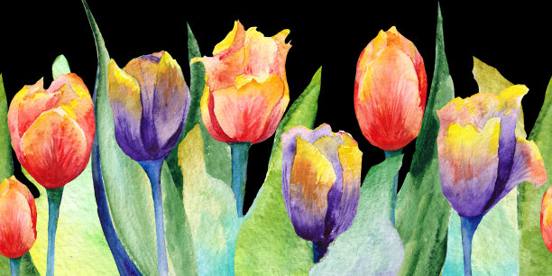 草地上的花，五颜六色的水彩郁金香，树叶。无缝模式。花水彩图片下载