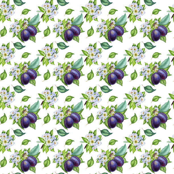 水彩梅花无缝图案。手绘剪辑的艺术。图片下载