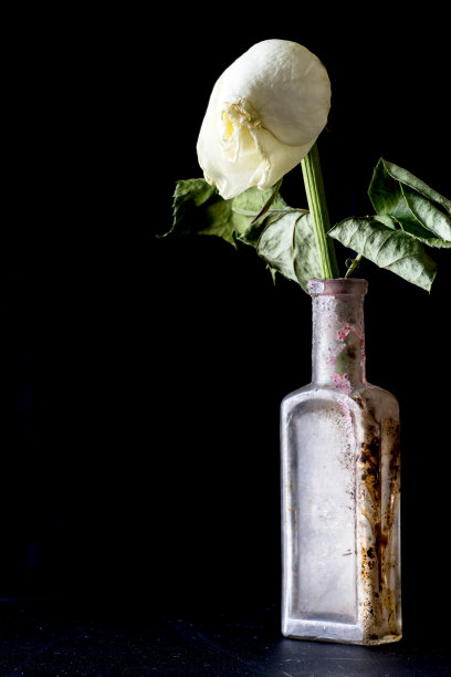 凋谢和褪色的玫瑰在一个旧的肮脏的vintage酒瓶在黑色的背景。副本的空间。悲伤和衰老的概念图片下载