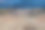 一个牧羊人带着牛群从奥马洛下山到阿尔瓦尼过冬图片下载