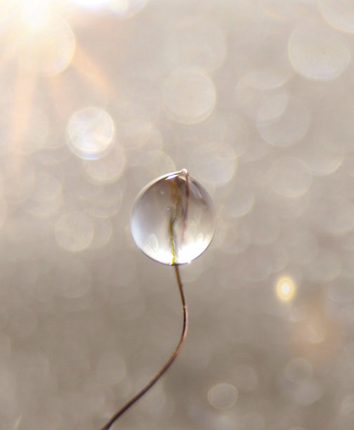 水滴带火炬图片下载