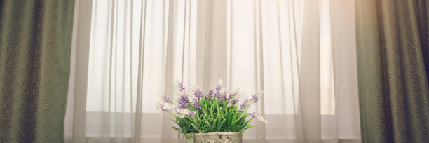 白色的桌子上放着紫色的薰衣草盆花，将明亮的阳光反射在窗户上图片下载