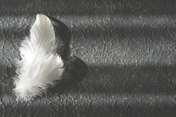两个白色羽毛在黑色纹理的背景，自然的白天的光和阴影。图片下载