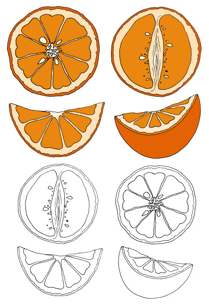 矢量图图片下载