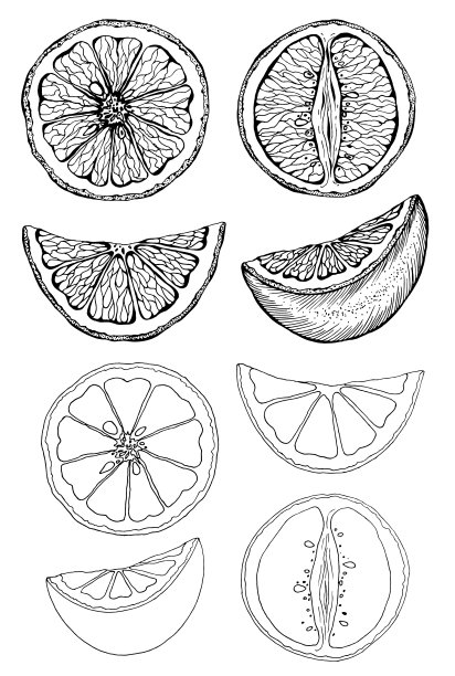 矢量图图片下载