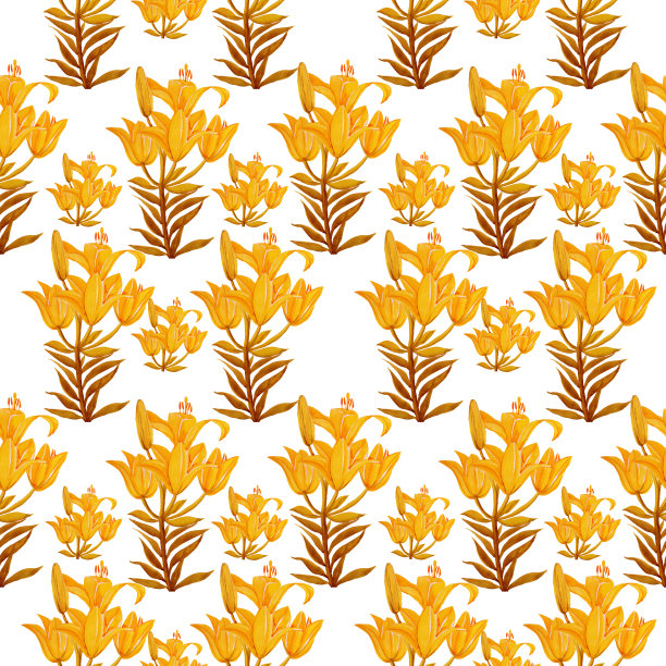 百合图案孤立对象白色背景花图片下载