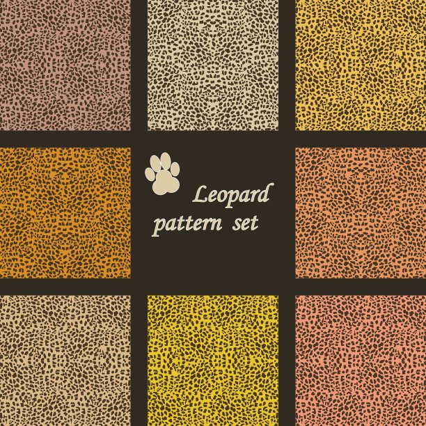 豹子背景图片下载