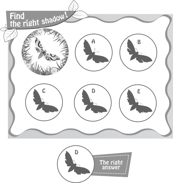 找到合适的影子蝴蝶bv图片下载