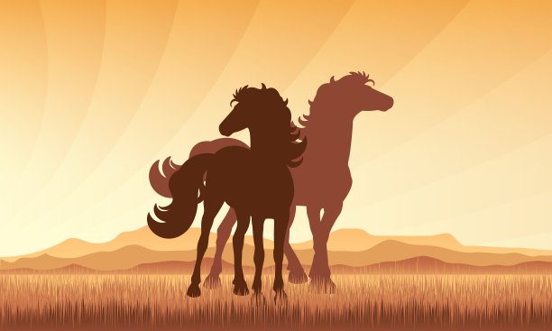 马在田野上的日落背景图片下载