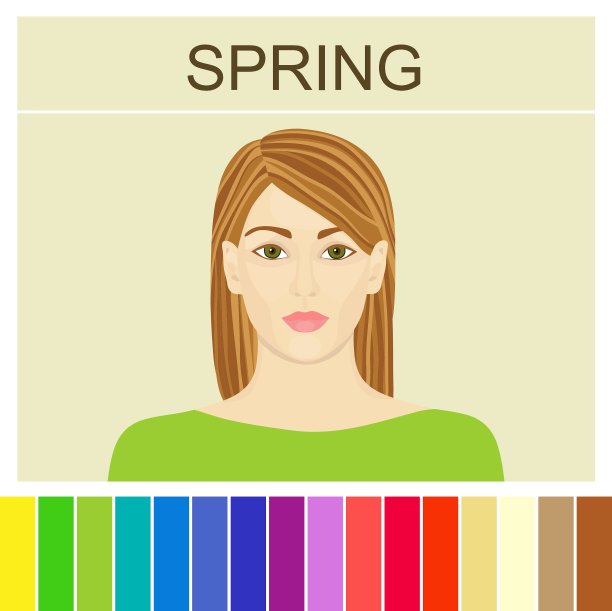 母线弹簧型外观图片下载