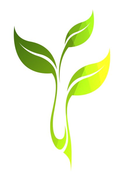 程式化的剪影，春天的绿叶图片下载