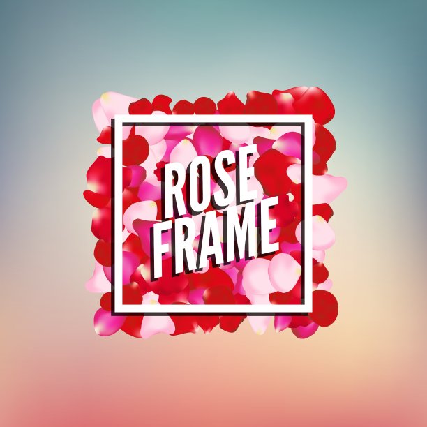 玫瑰花瓣边框框架与地方的文本图片下载