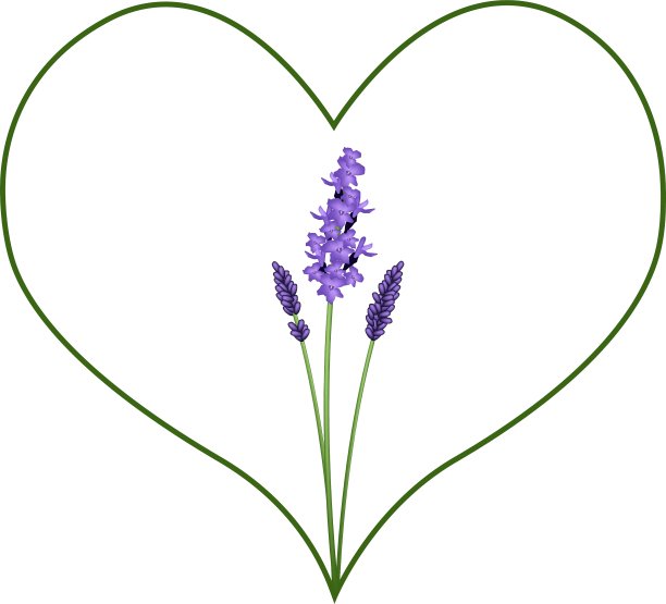 美丽的紫罗兰和薰衣草在一个绿色的心形图片下载