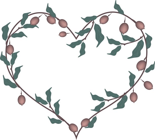 龙舌兰科的叶和果实呈心形图片下载