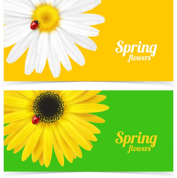 春花和瓢虫图片下载