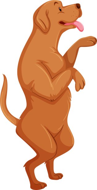 两条腿站立的眉毛狗图片下载