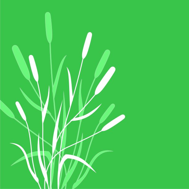 草回来图片下载