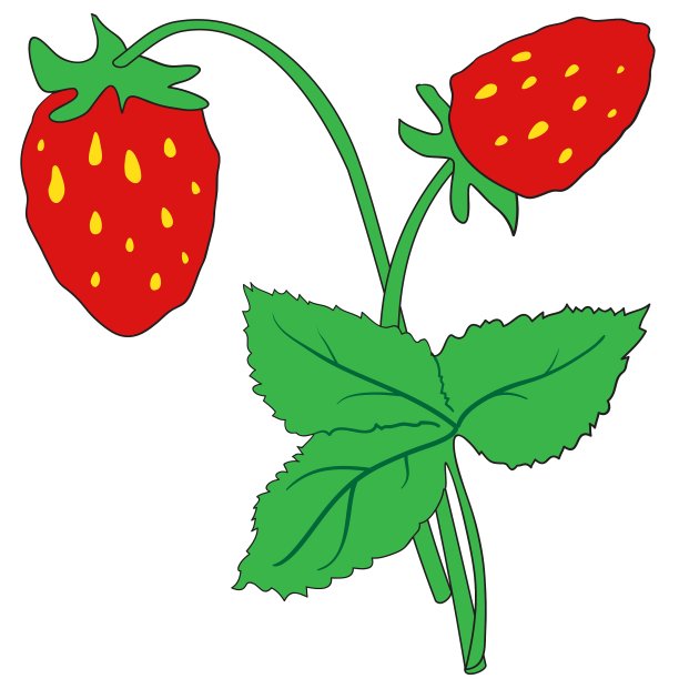 一丛成熟的草莓图片下载