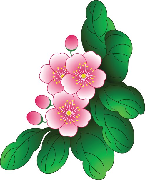 春天的花图片下载