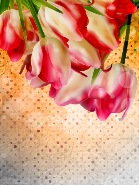 橙色框架与花EPS 10图片下载